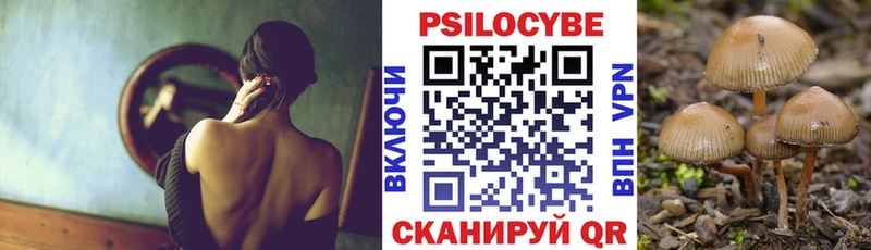 Галлюциногенные грибы Magic Shrooms Анжеро-Судженск